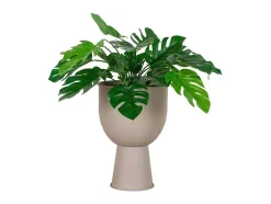 Amalfi Bloeiwijze O19Cm Zandkleurig.