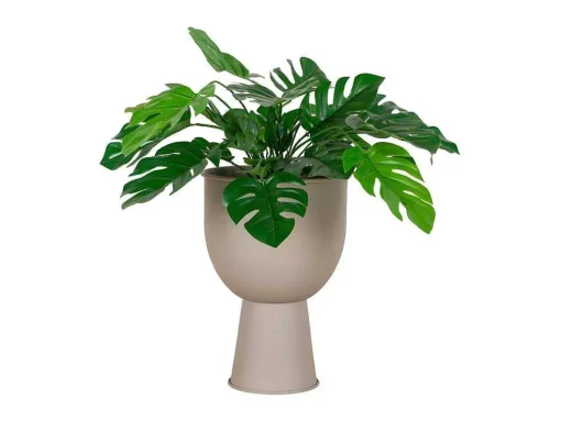 Amalfi Bloeiwijze O19Cm Zandkleurig.