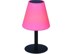 Buitenlamp Op Voet Met Led-Verlichting Edison - Metaal - H36 Cm - Veranderende Kleuren