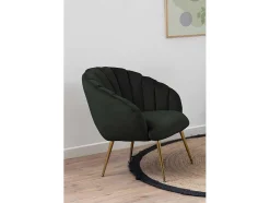 Dano Fauteuil Lounge Fauteuil Groen, Messing.