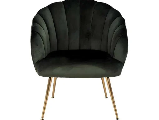 Dano Fauteuil Lounge Fauteuil Groen, Messing.