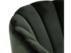 Dano Fauteuil Lounge Fauteuil Groen, Messing.