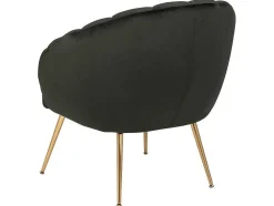 Dano Fauteuil Lounge Fauteuil Groen, Messing.