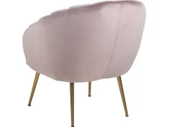 Dany Fauteuil Loungestoel Oudroze, Messingkleurig.