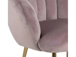 Dany Fauteuil Loungestoel Oudroze, Messingkleurig.