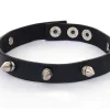 Decoratief Beeldje Panter Met Halsband, Zwart Hoogglans Met Kraag