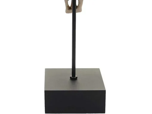 Decoratief Staand Figuur Koeienschedel Mcw-D30