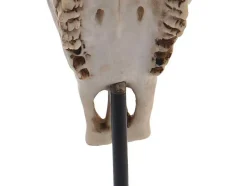 Decoratief Staand Figuur Koeienschedel Mcw-D30