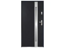 Deur Van Geglazuurd Staal En Inox H.207 X B.100 Cm Antraciet - Rechts Duwen - Braga