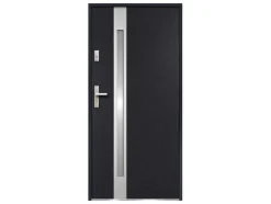 Deur Van Geglazuurd Staal En Inox H.207 X B.100 Cm Antraciet - Links Duwen - Braga