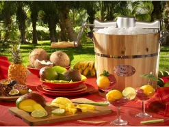 Elektrische Sorbetmaker Givreto Van Hout 5.5L