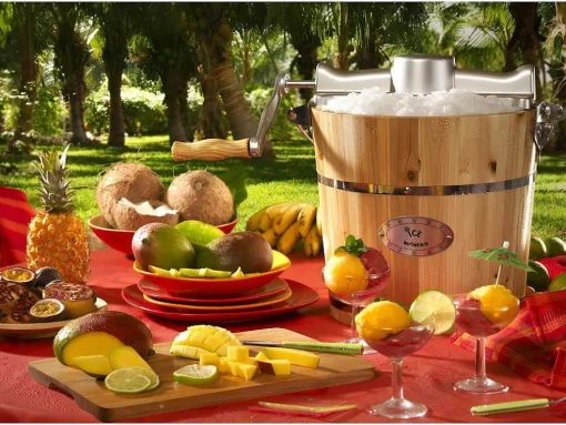 Elektrische Sorbetmaker Givreto Van Hout 5.5L