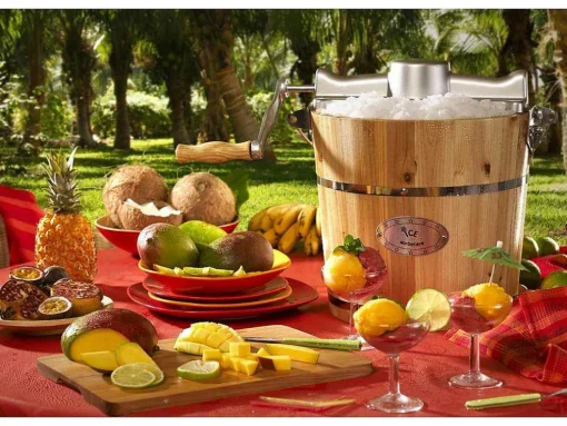 Elektrische Sorbetmaker Givreto Van Hout 5.5L