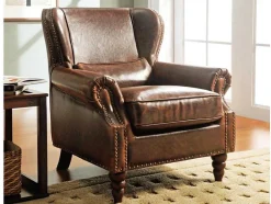 Fauteuil 100% Leer Edouard - Bruin