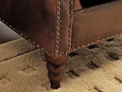 Fauteuil 100% Leer Edouard - Bruin