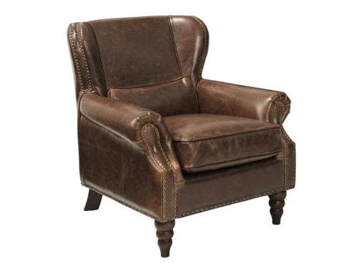 Fauteuil 100% Leer Edouard - Bruin