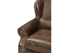 Fauteuil 100% Leer Edouard - Bruin