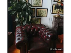 Fauteuil Chesterfield Brenton 100% Buffelleer - Bruin Tinten