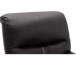 Fauteuil Van Bruine Kunstleer Canby