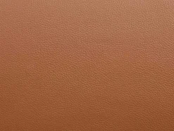 Fauteuil Van Camelkleurig Buffelleder Dinnia