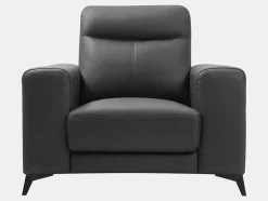 Fauteuil Van Leer Montaner - Zwart