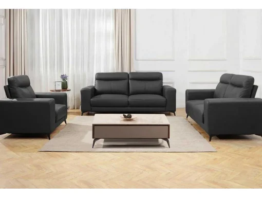 Fauteuil Van Leer Montaner - Zwart