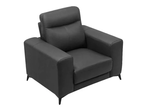 Fauteuil Van Leer Montaner - Zwart