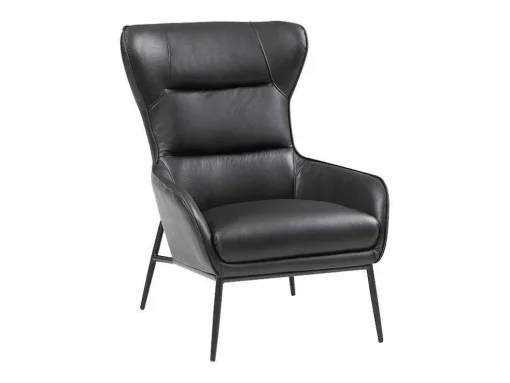 Fauteuil Van Zwart Buffelleder Dinnia
