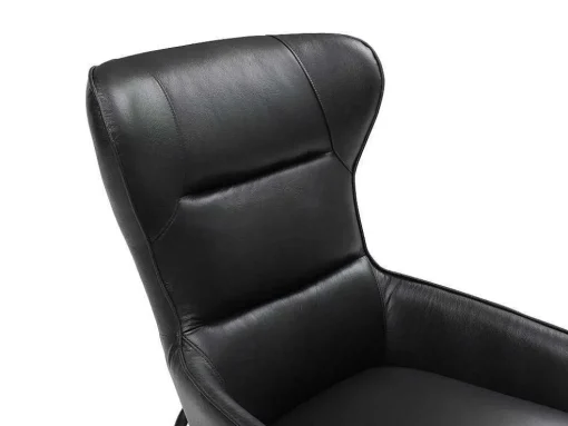 Fauteuil Van Zwart Buffelleder Dinnia
