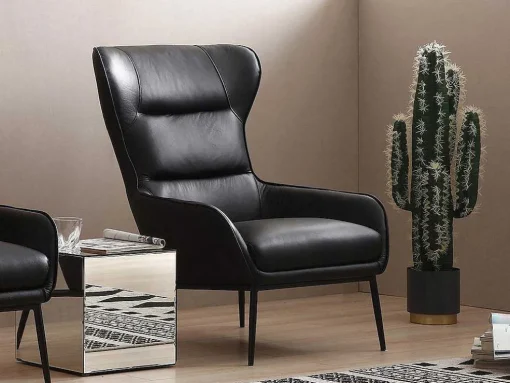 Fauteuil Van Zwart Buffelleder Dinnia