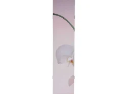 Foto Scherm Bagheria, Orchid