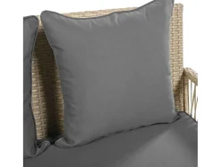 Hangstoel In Geweven Hars - Tuinschommel - 2 Plaatsen - Met Kussens - Beige & Grijs