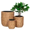 Hanoi Planten Schuilplaatsen Set Van 3 Stuks. Buitenshuis Naturel.