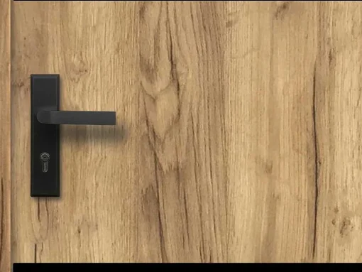 Inox Toegangsdeur H207 X B100 Cm Eik Effect - Rechts - Naxara