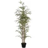 Kunstbamboe Met Natuurlijke Stam - H160 - Mucuri