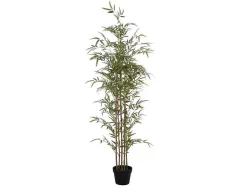 Kunstbamboe Met Natuurlijke Stam - H160 - Mucuri