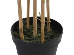 Kunstbamboe Met Natuurlijke Stam - H160 - Mucuri