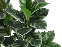 Kunstboom Calathea Met Pot - H150 - Lusake