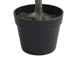 Kunstcitroenboom Met Pot - H120 - Berat