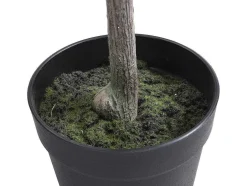 Kunstcitroenboom Met Pot - H120 - Berat