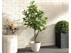 Kunstcitroenboom Met Pot - H120 - Berat