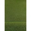 Kunstgras Havana Select Maat 200X900 Cm