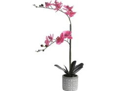 Kunstorchidee Met Pot Van Cement - H55 X B30 Cm - Roze - Riosane