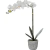 Kunstorchidee Met Pot Van Cement - H60 - Wit - Flora