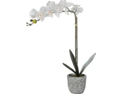Kunstorchidee Met Pot Van Cement - H60 - Wit - Flora