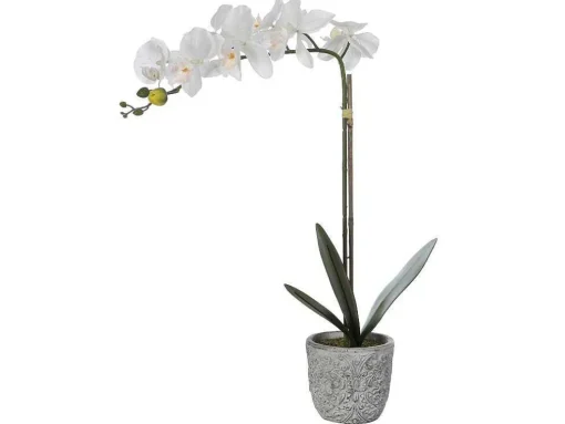 Kunstorchidee Met Pot Van Cement - H60 - Wit - Flora