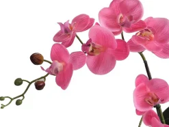 Kunstorchidee Met Pot Van Cement - H55 X B30 Cm - Roze - Riosane