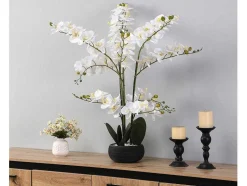 Kunstorchidee Met Pot Van Cement - H65 X B54 Cm - Wit - Tara