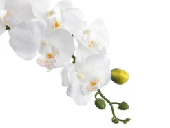Kunstorchidee Met Pot Van Cement - H60 - Wit - Flora