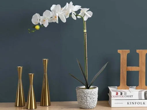 Kunstorchidee Met Pot Van Cement - H60 - Wit - Flora
